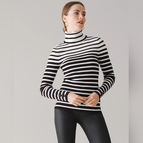 WHBM | Long-Sleeve Ribbed Striped Turtleneck - Picture 1 of 12